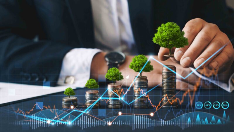 Sustainable Funding Models for Social Startups